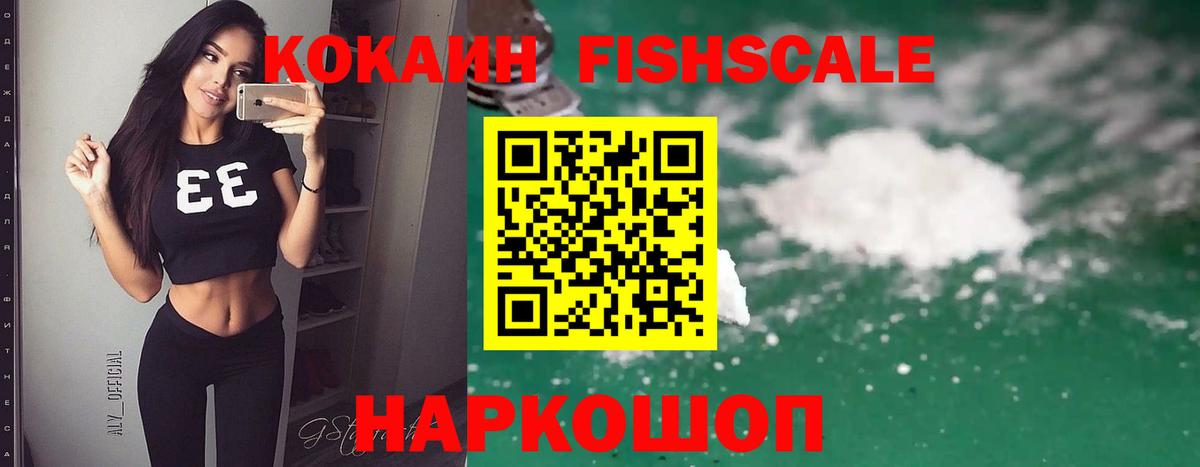 Сергиев Посад  COCAIN Fish Scale  Вход с VPN 