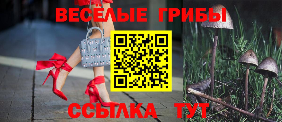 Галлюциногенные грибы MAGIC MUSHROOMS Сергиев Посад